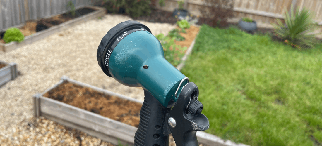 How I’m using less water in the garden