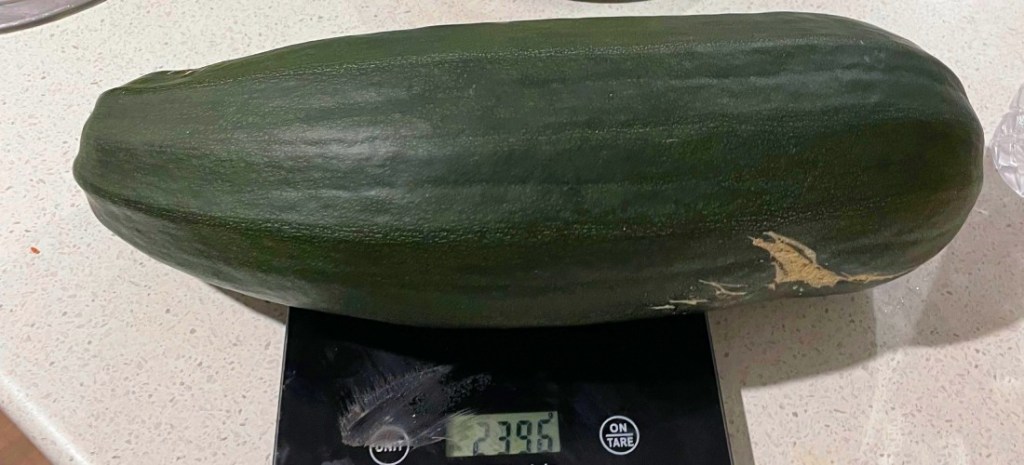 Zucchini comes in at almost 2.4kg